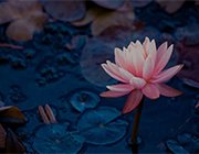 xk星空体育登录